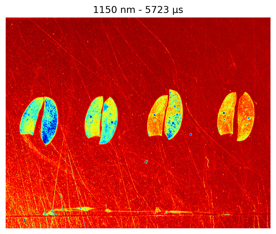 Researchers look inside the soybean for hidden value